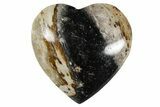 1.4" Polished Petrified Palm Root Heart - Indonesia - Photo 2